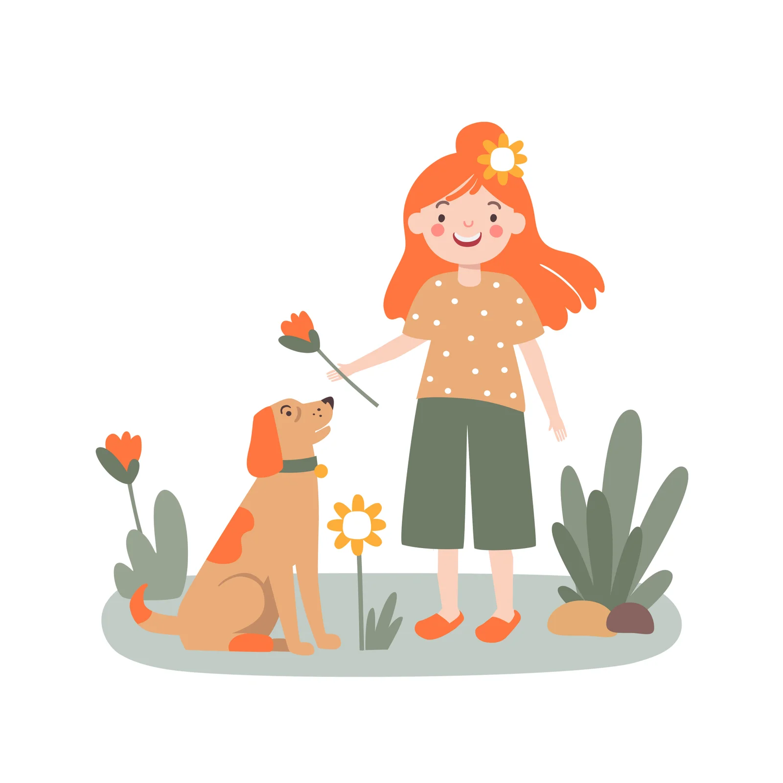 Plants and animals